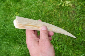 schede aculeus 6-2024 142859